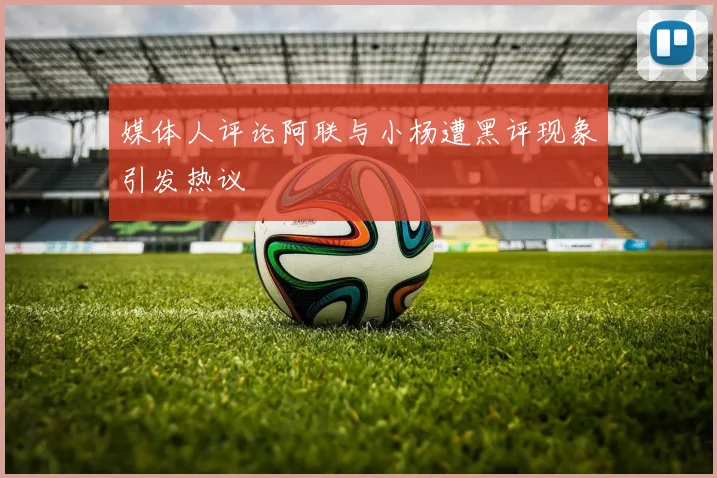 媒体人评论阿联与小杨遭黑评现象引发热议
