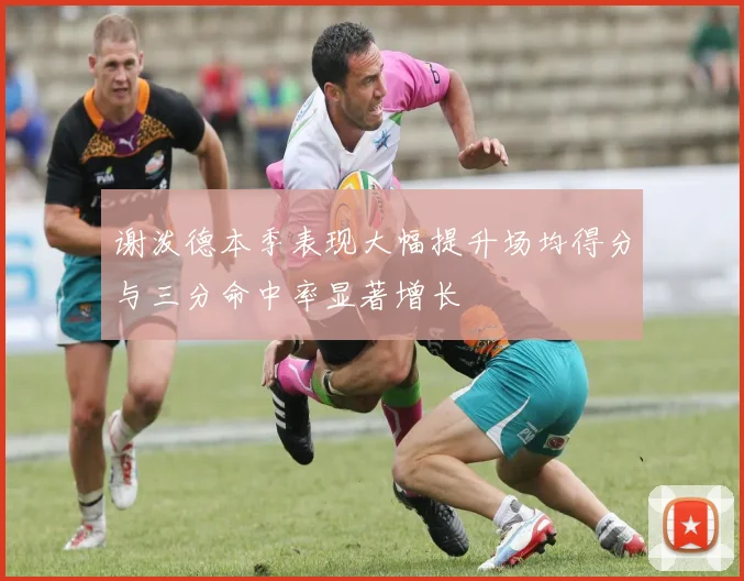 谢泼德本季表现大幅提升场均得分与三分命中率显著增长