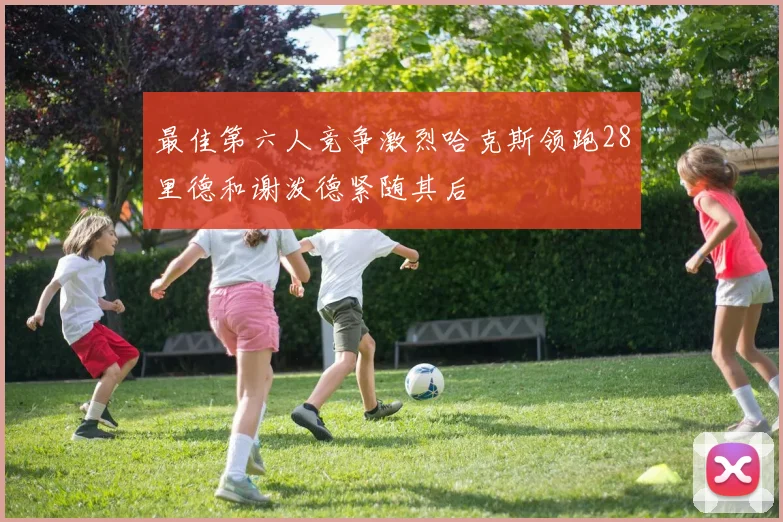 最佳第六人竞争激烈哈克斯领跑28里德和谢泼德紧随其后