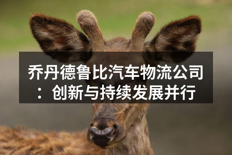 乔丹德鲁比汽车物流团队