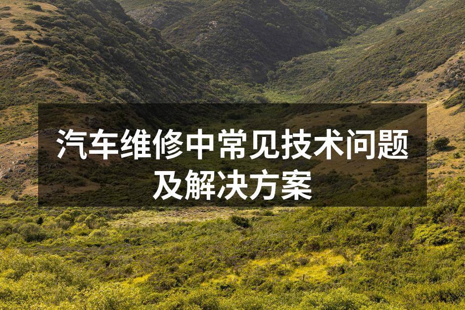 汽车发动机故障的检查