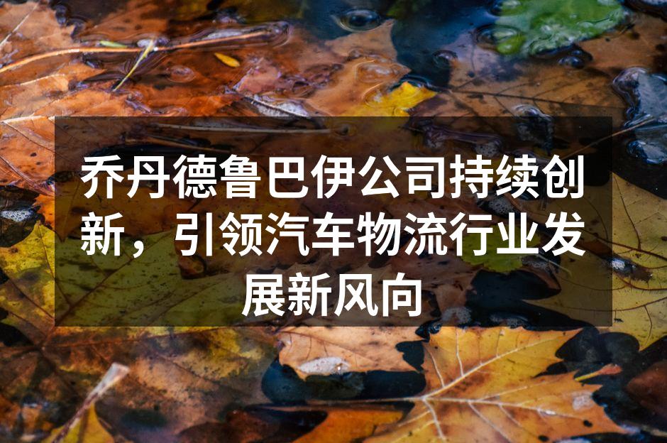 乔丹德鲁巴伊公司物流中心一角